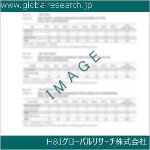 グローバルリサーチ調査資料のイメージ